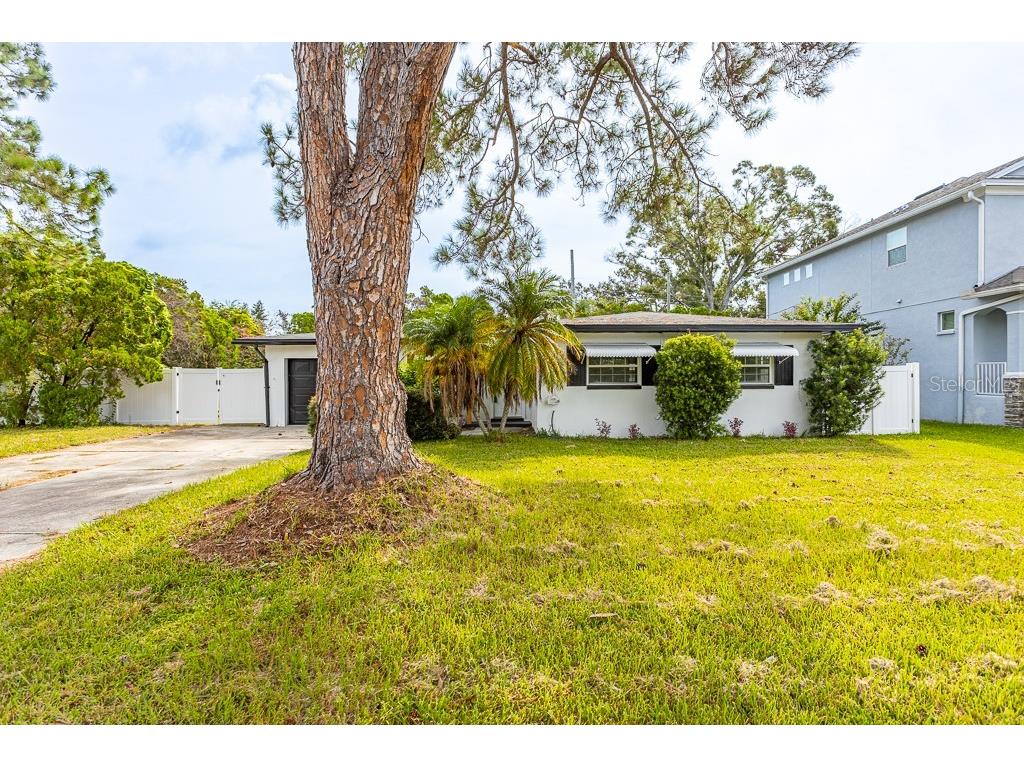 4704 W Chapin Avenue Tampa FL 33611 TB8429326 image22