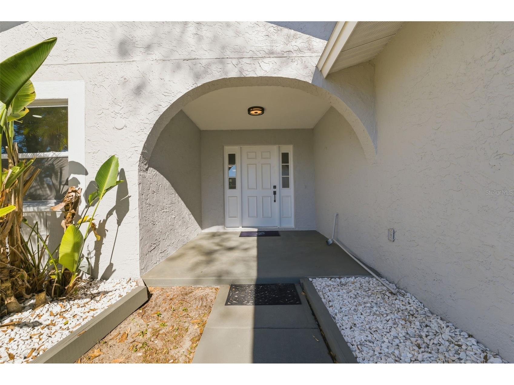 4705 Cypress Tree Drive Tampa FL 33624 TB8465974 image3