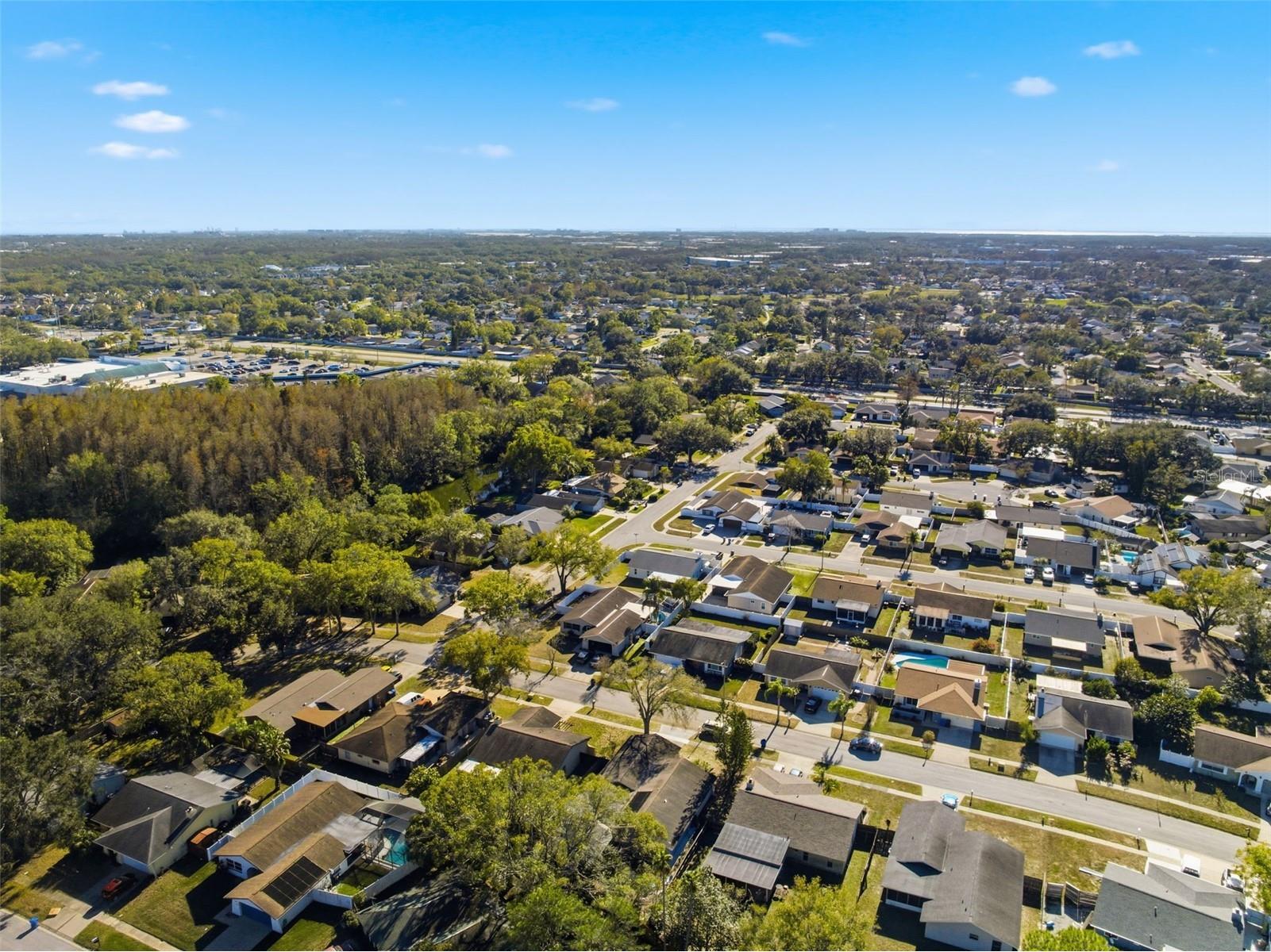 4705 Cypress Tree Drive Tampa FL 33624 TB8465974 image38