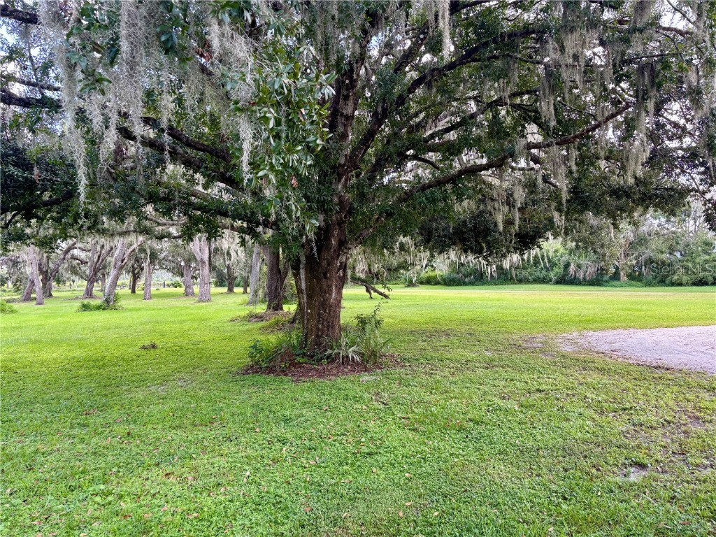 4705 Fort Hamer Parrish FL 34219 A4660543 image7