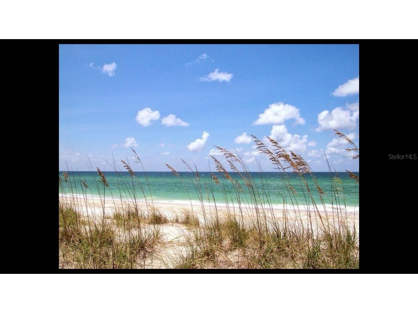 4705 Lemon Bay Drive Venice FL 34293 - INTERCOASTAL WATER A4675047 image43