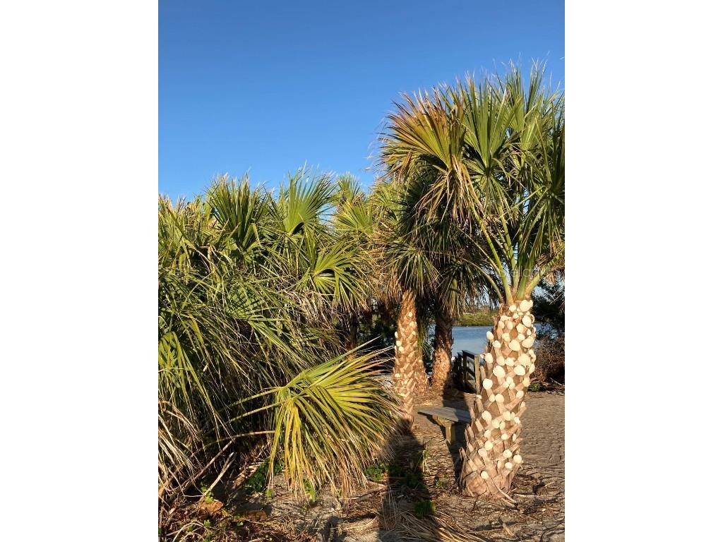 4705 Lemon Bay Drive Venice FL 34293 - INTERCOASTAL WATER A4675047 image49