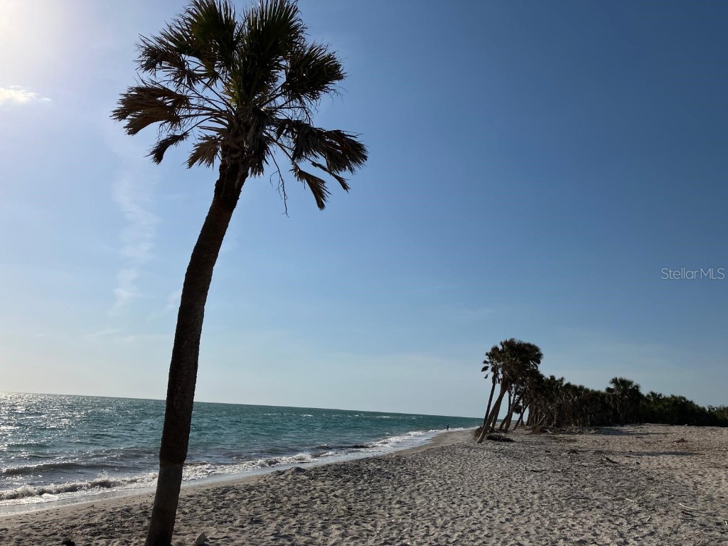 4705 Lemon Bay Drive Venice FL 34293 - INTERCOASTAL WATER A4675047 image8