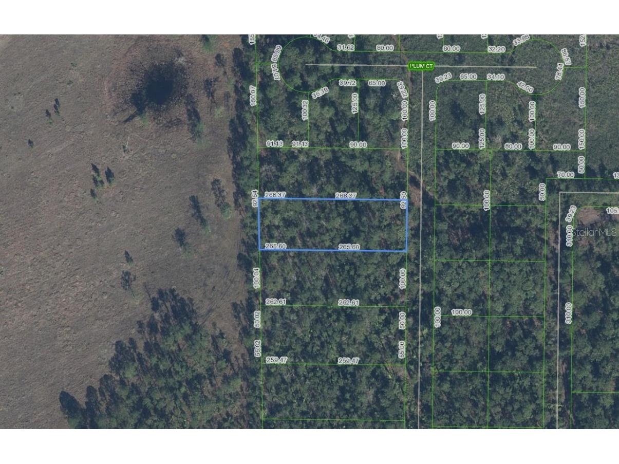 4705 Rhubarb Street Sebring FL 33875 L4957135 image1