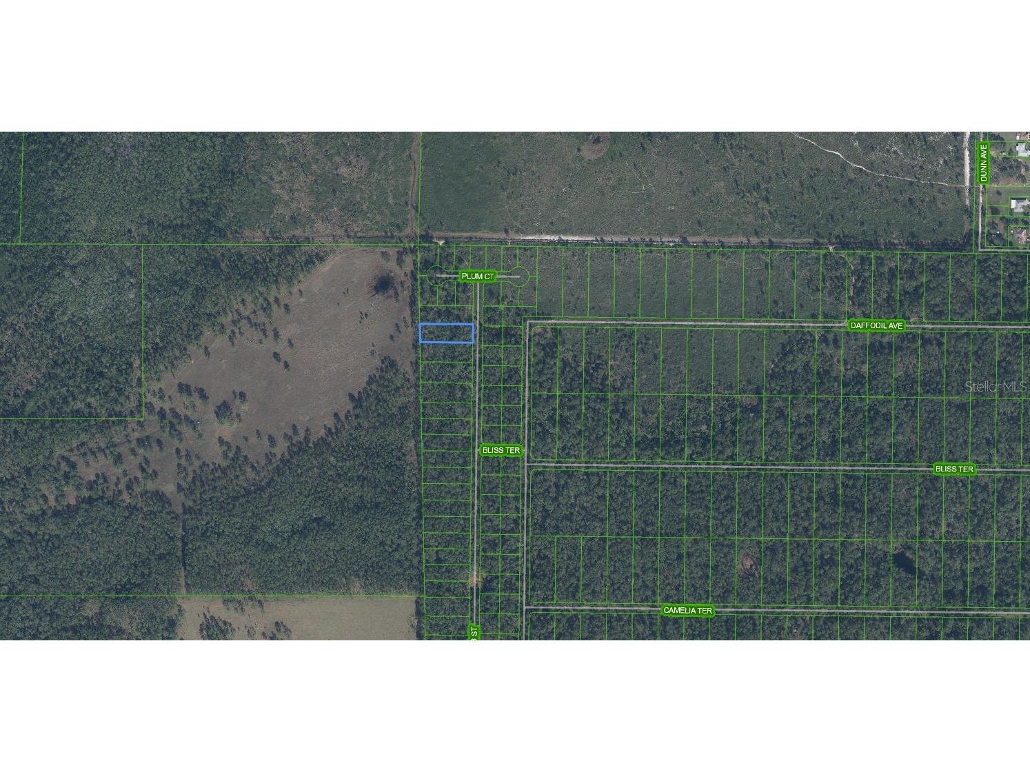 4705 Rhubarb Street Sebring FL 33875 L4957135 image2