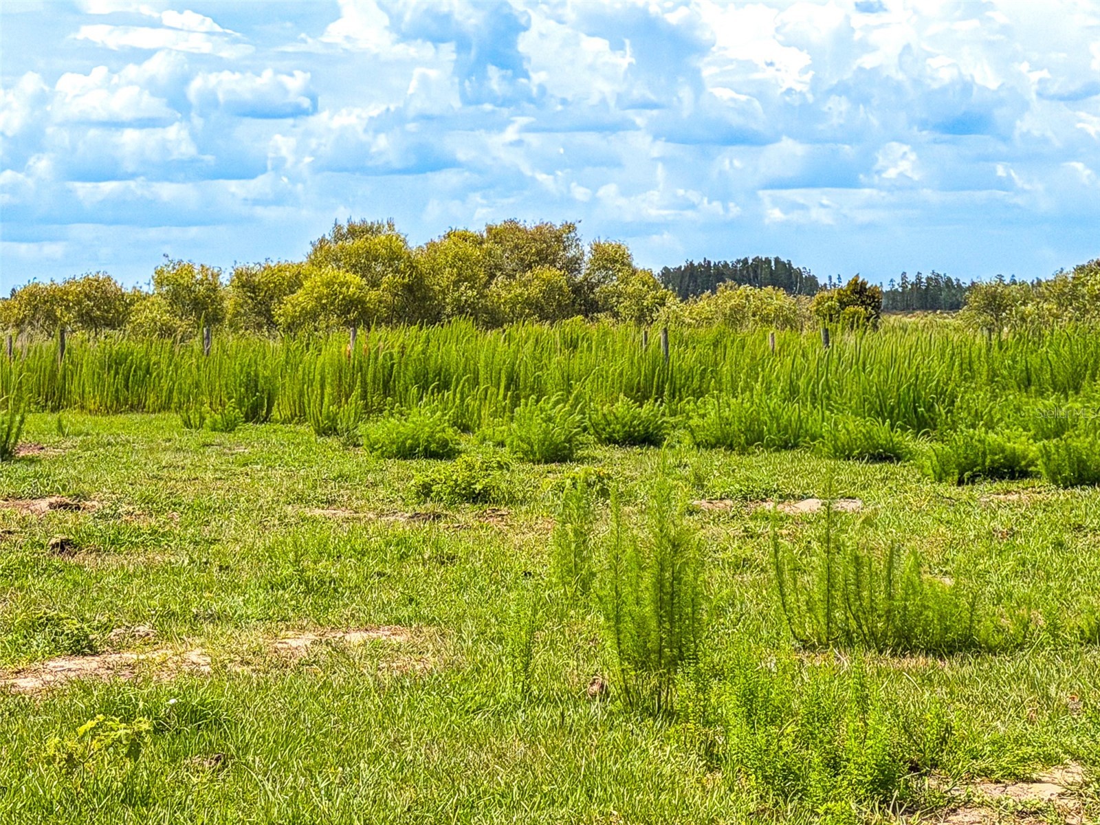 4706 County Road 557a Polk City FL 33868 L4962614 image14
