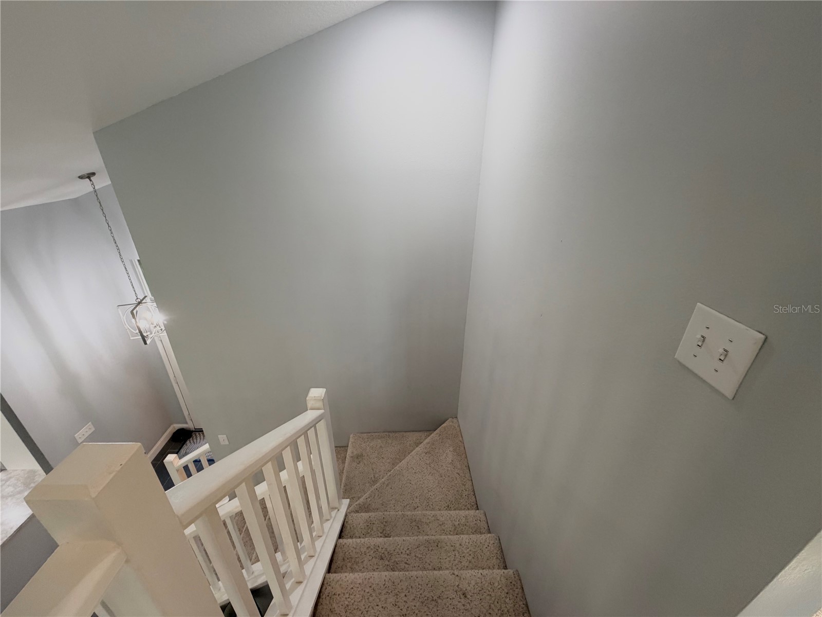 4706 Dunquin Place Tampa FL 33610 P4938397 image66