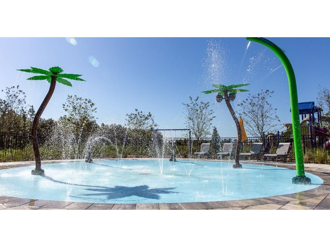 4706 Inner World Lane Wesley Chapel FL 33543 TB8499131 image22