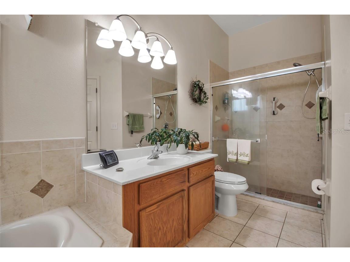 4706 Josselin Place Parrish FL 34219 A4650268 image53