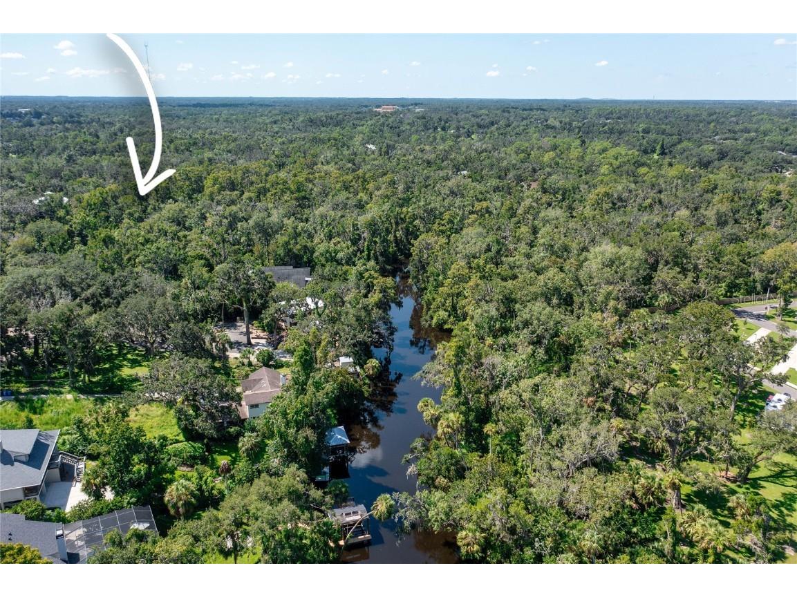 4706 Rambling River Road Brandon FL 33511 TB8419682 image10