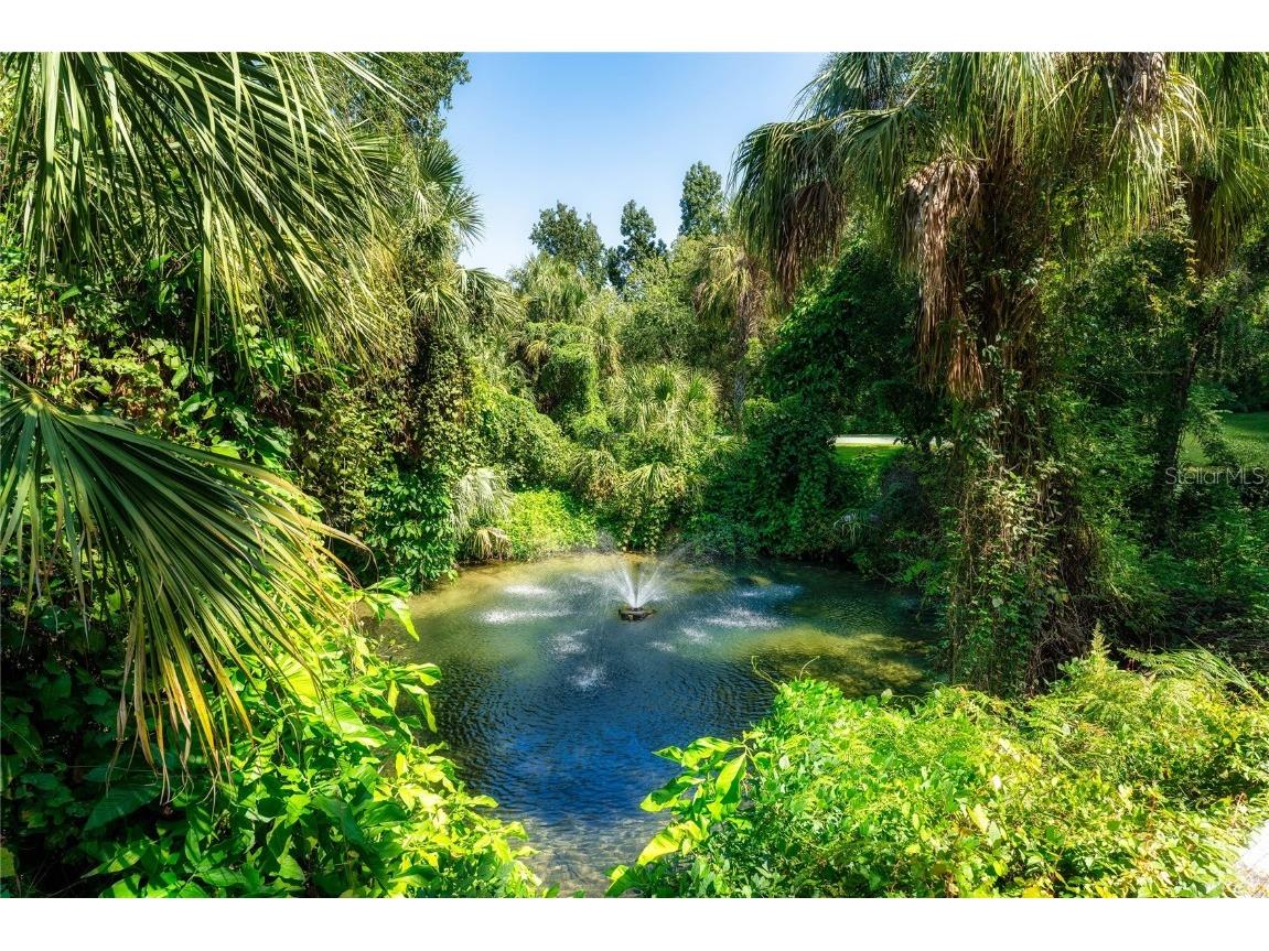 4706 Rambling River Road Brandon FL 33511 TB8419682 image13