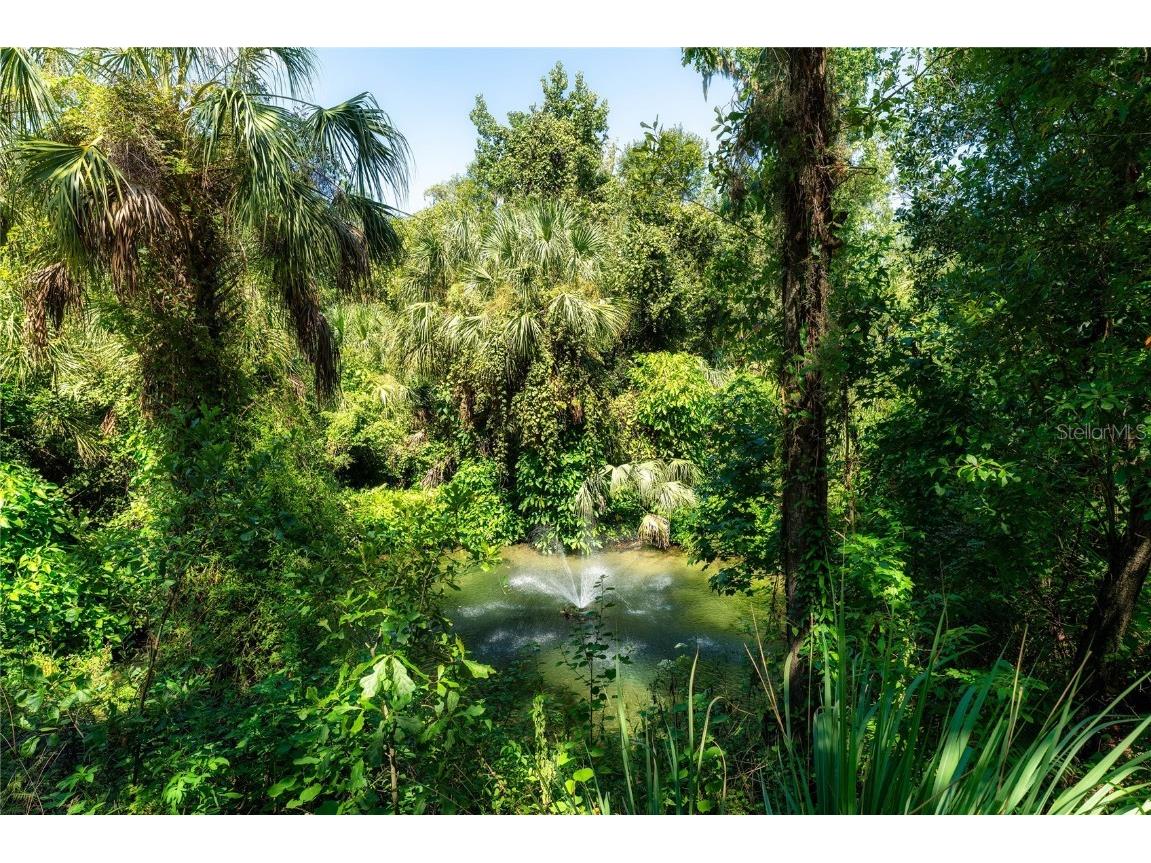 4706 Rambling River Road Brandon FL 33511 TB8419682 image15