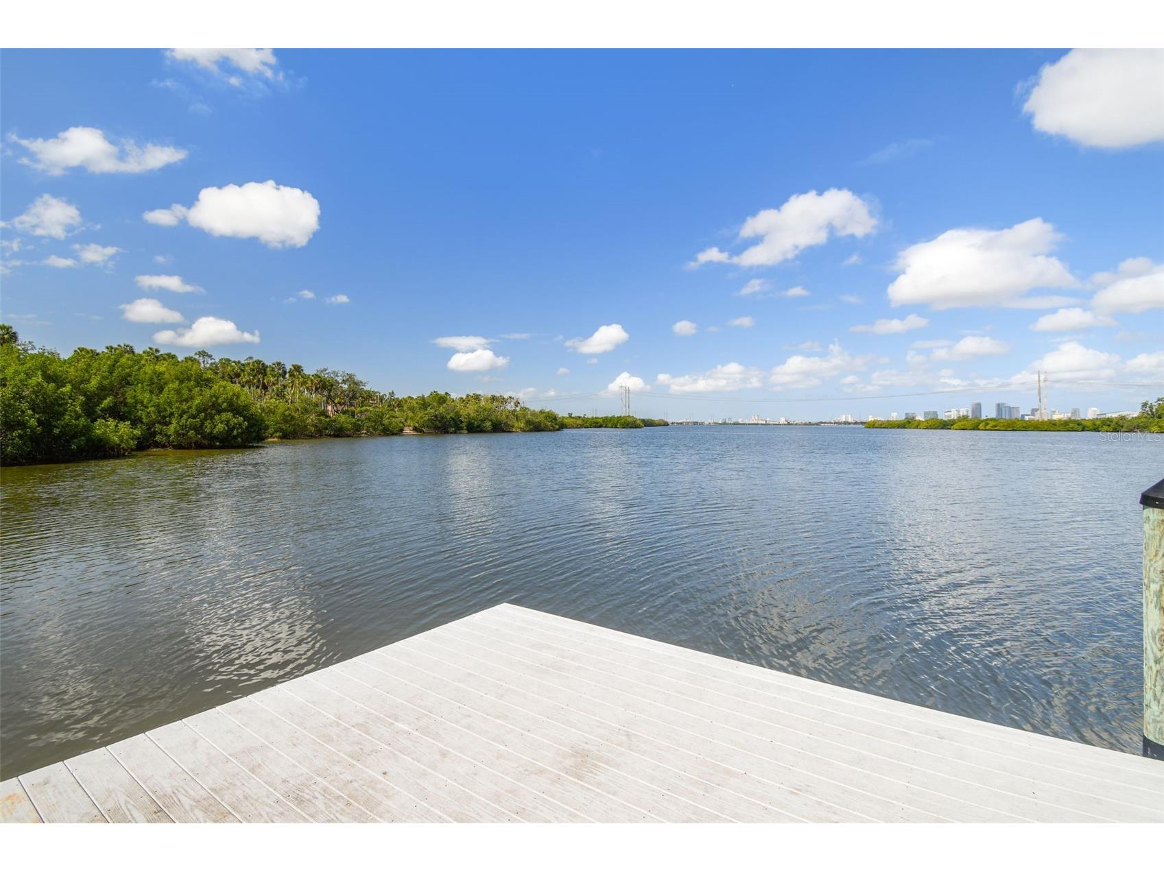 4706 Tuscan Loon Drive Tampa FL 33619 TB8495887 image54