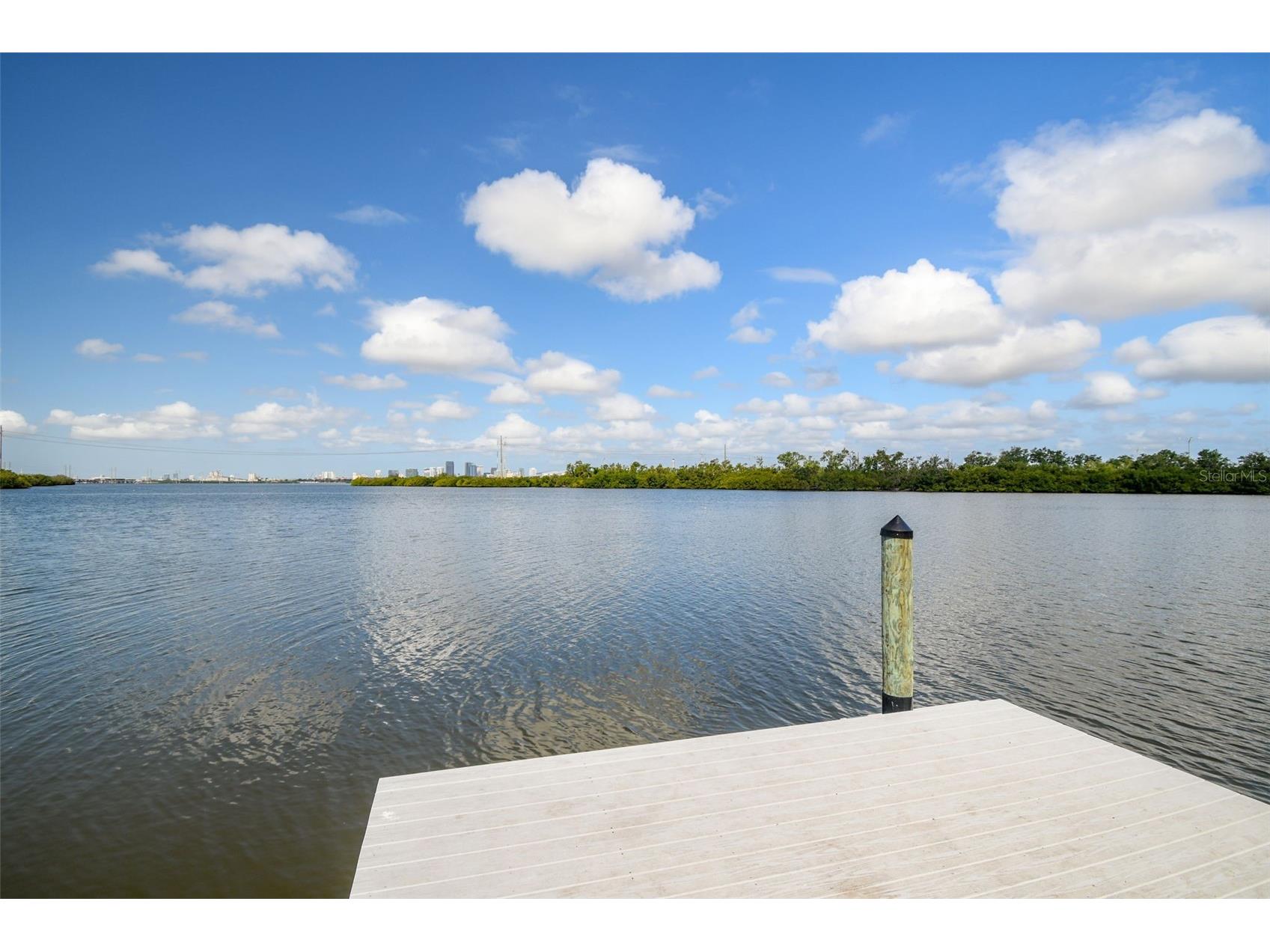 4706 Tuscan Loon Drive Tampa FL 33619 TB8495887 image55