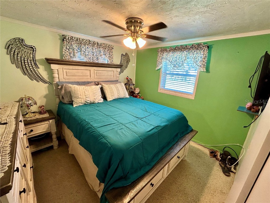 4707 Alma Street New Port Richey FL 34652 W7879305 image16