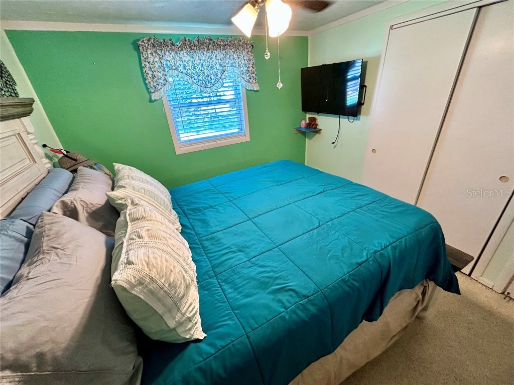 4707 Alma Street New Port Richey FL 34652 W7879305 image17