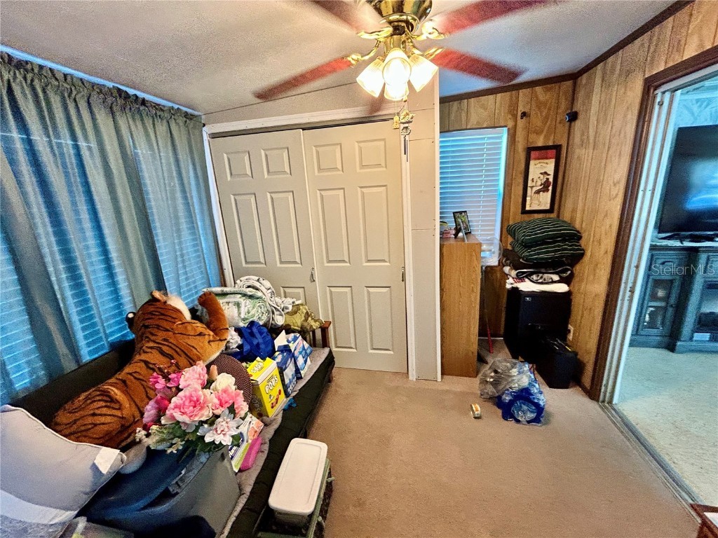 4707 Alma Street New Port Richey FL 34652 W7879305 image24