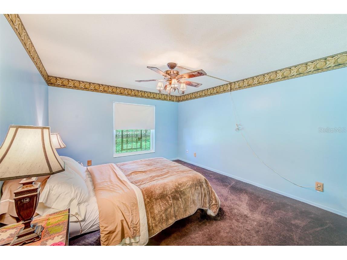 4707 E Temple Heights Road Tampa FL 33617 TB8413858 image13