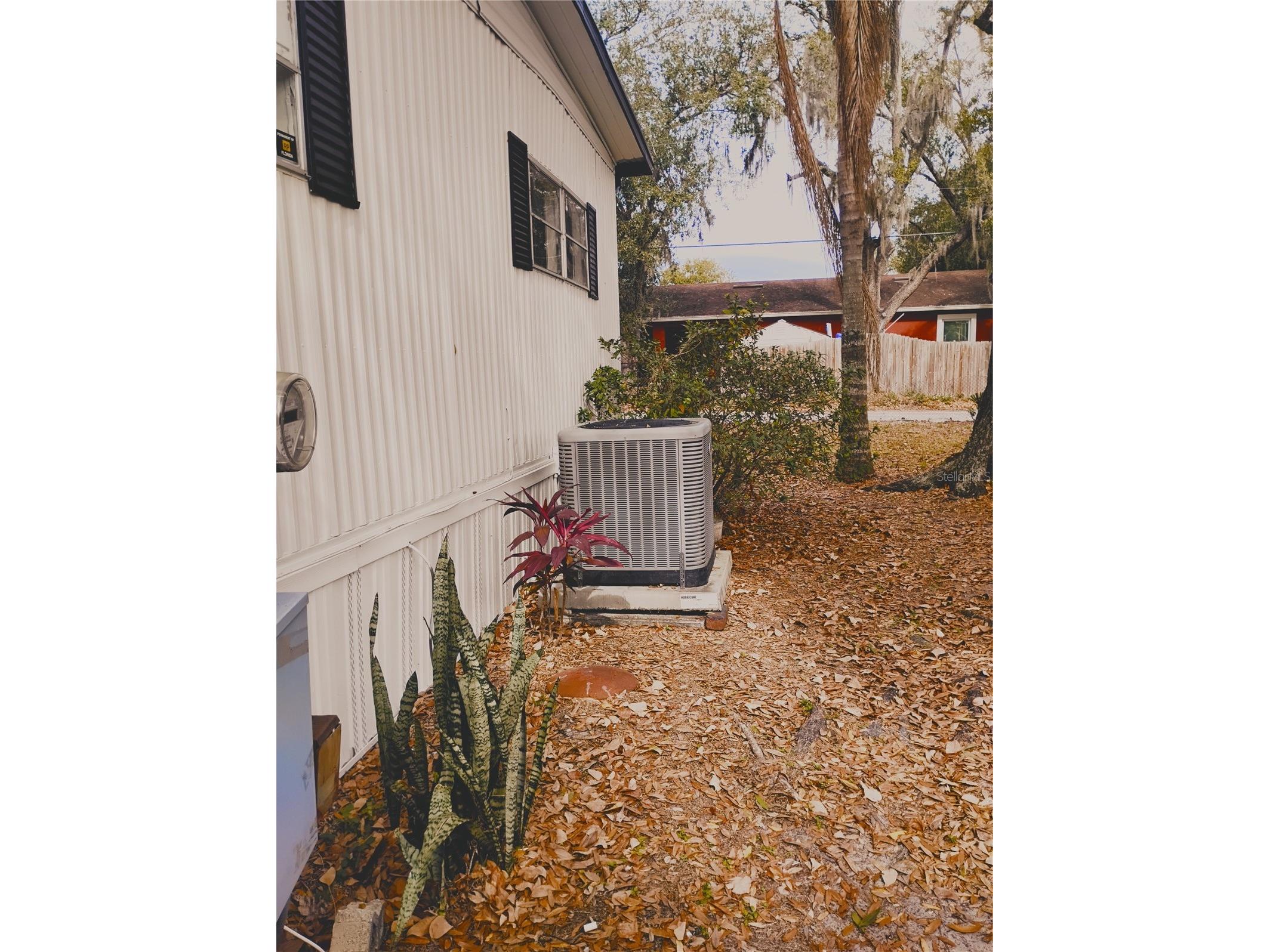 4707 E Yukon Street Tampa FL 33617 TB8469178 image15