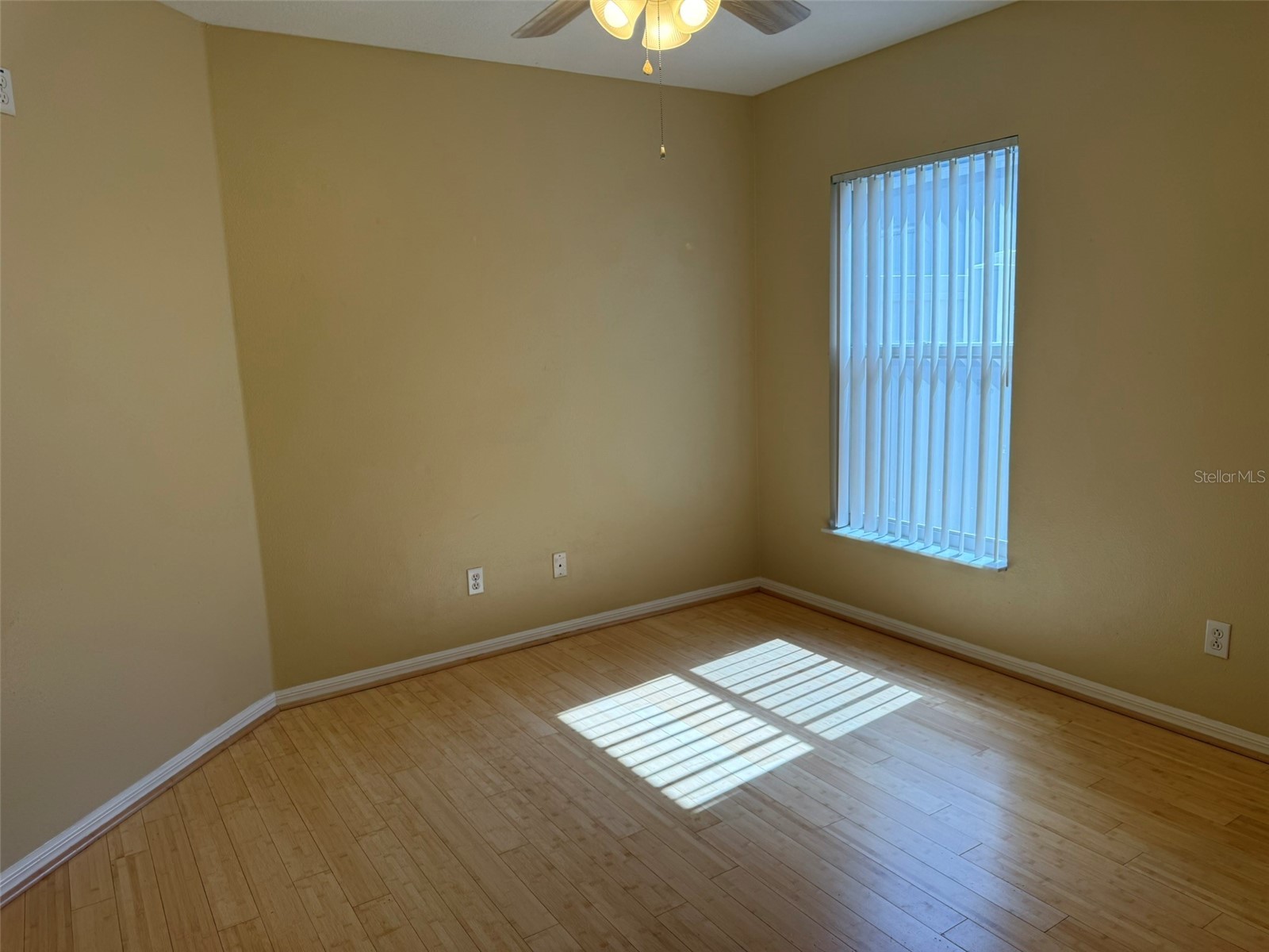 4707 Ramshead Drive Valrico FL 33594 TB8514902 image10