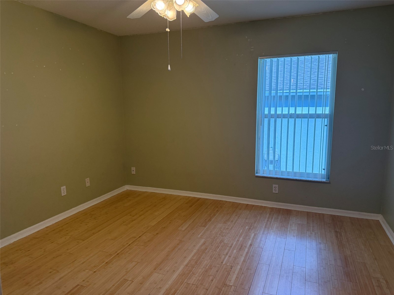 4707 Ramshead Drive Valrico FL 33594 TB8514902 image20