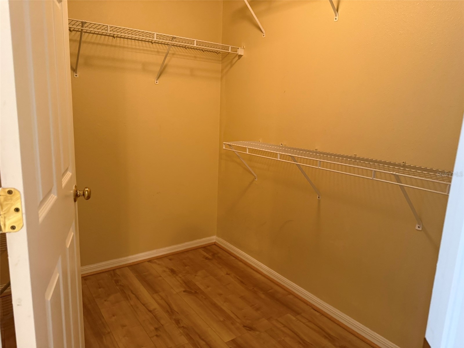 4707 Ramshead Drive Valrico FL 33594 TB8514902 image23