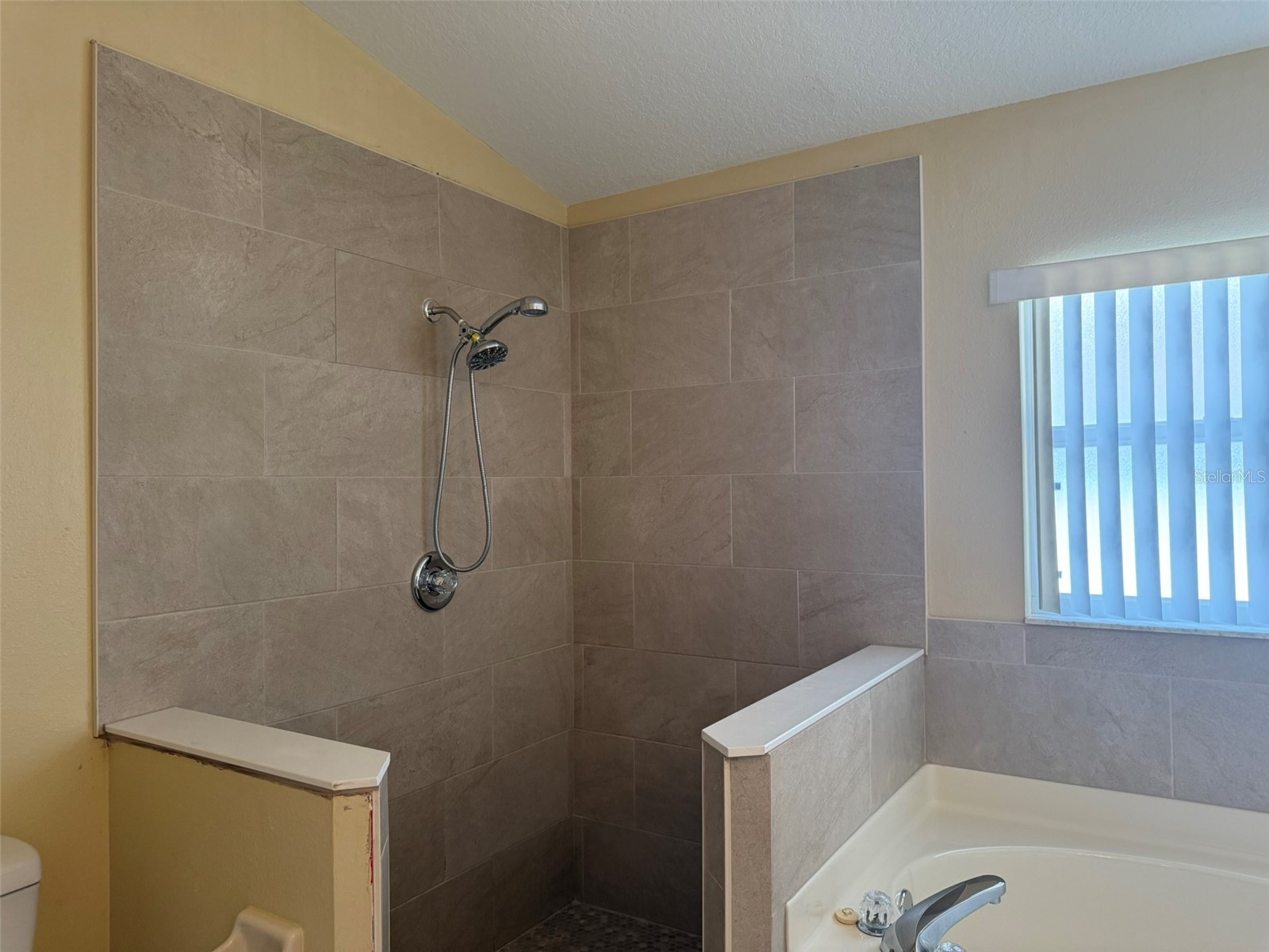 4707 Ramshead Drive Valrico FL 33594 TB8514902 image25