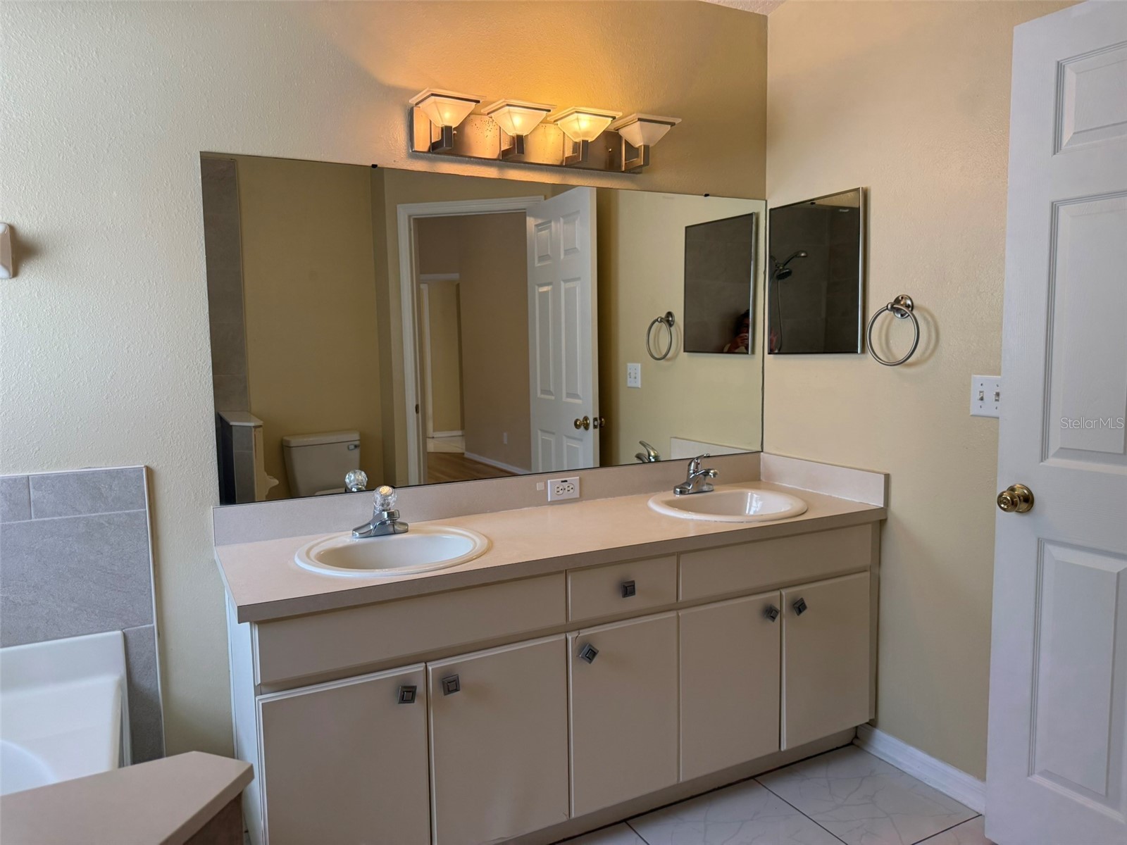 4707 Ramshead Drive Valrico FL 33594 TB8514902 image26