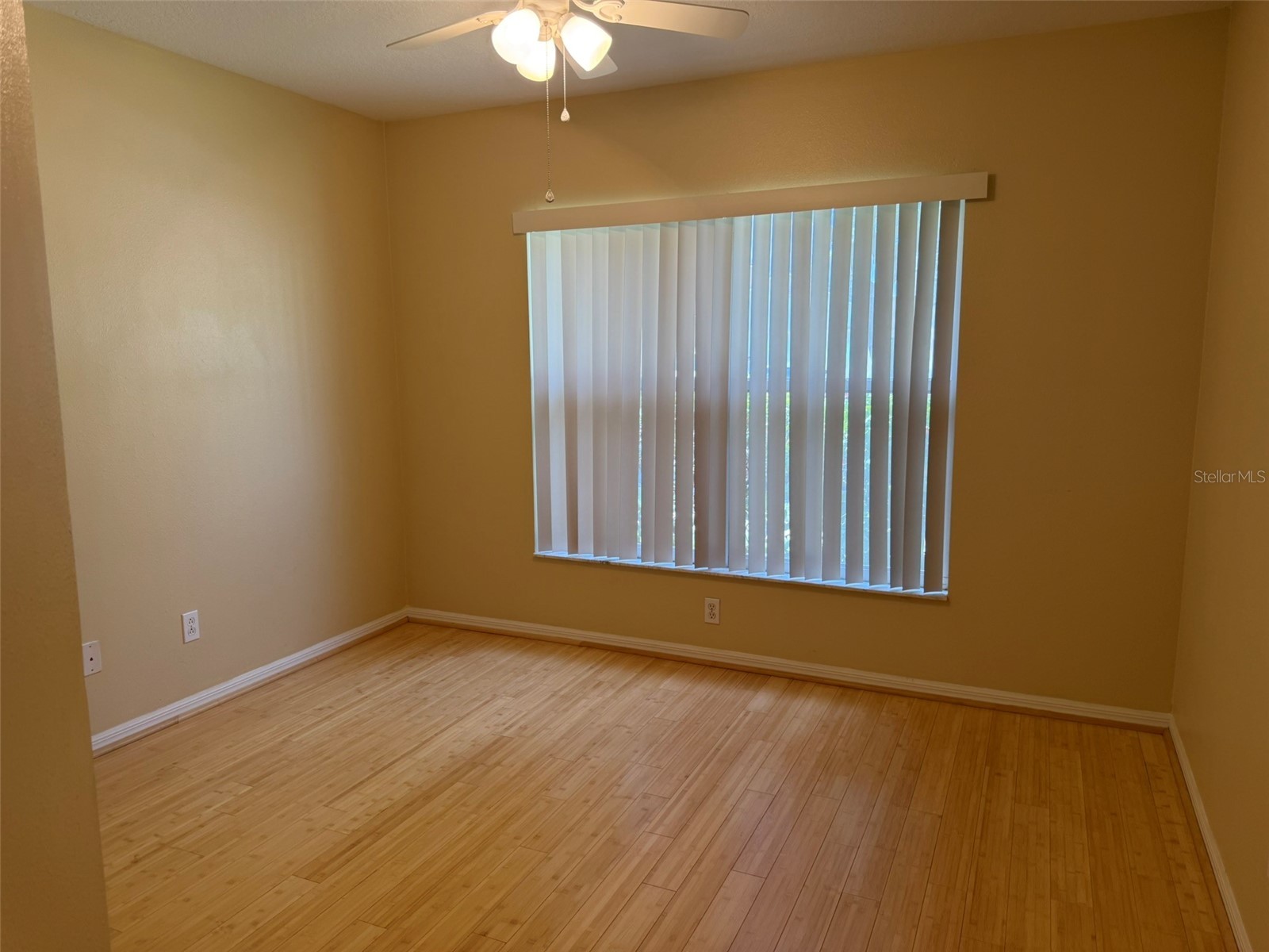 4707 Ramshead Drive Valrico FL 33594 TB8514902 image8