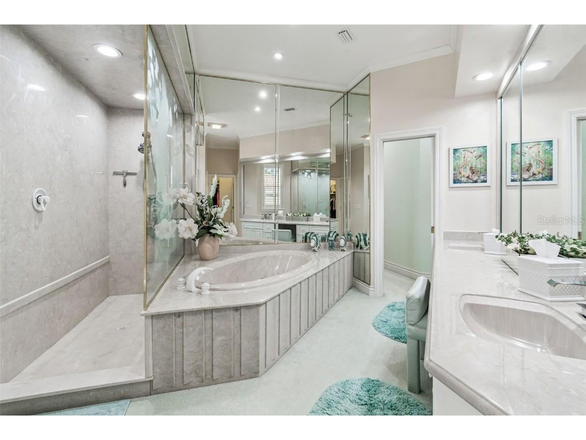 4707 Skimmer Way S Saint Petersburg FL 33711 - SPOONBILL LAKE TB8441302 image54