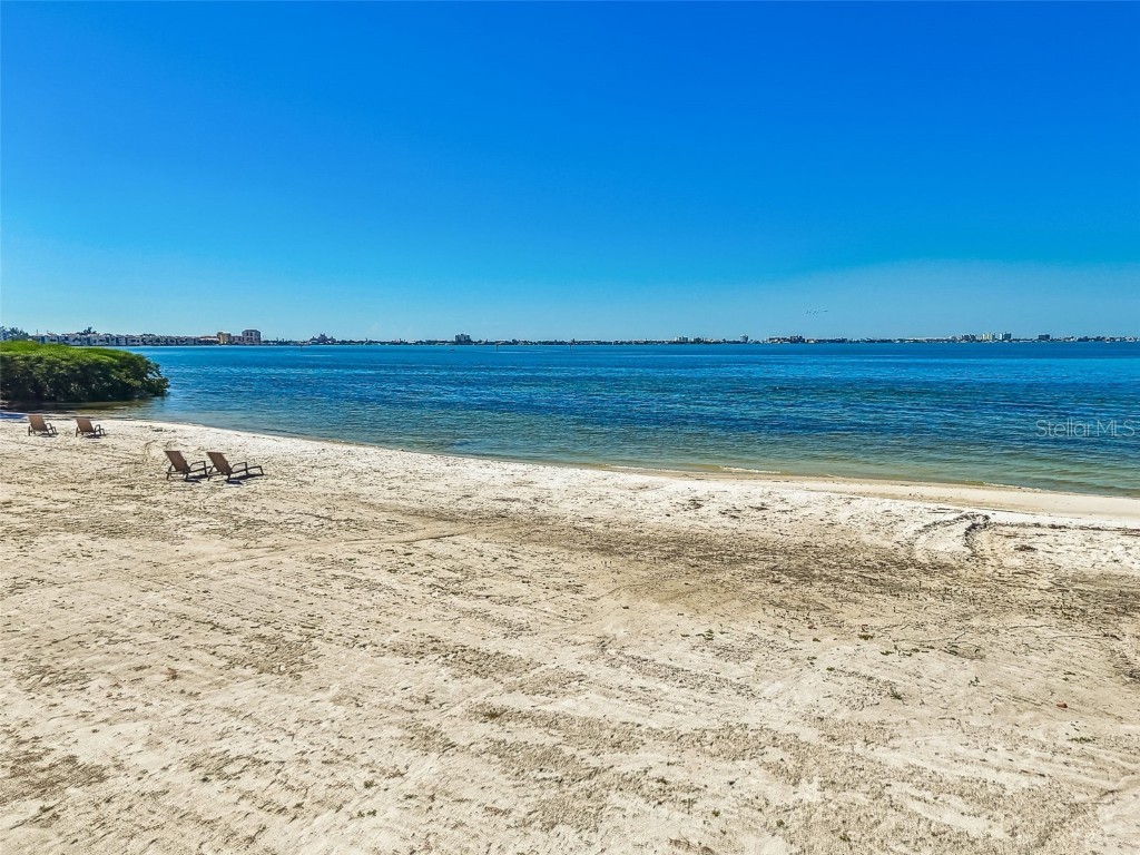 4707 Skimmer Way S Saint Petersburg FL 33711 - SPOONBILL LAKE TB8441302 image81