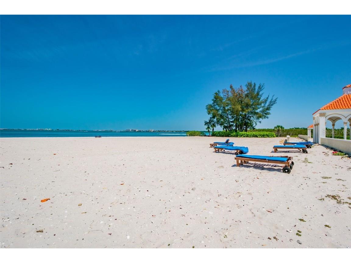 4707 Skimmer Way S Saint Petersburg FL 33711 - SPOONBILL LAKE TB8441302 image98