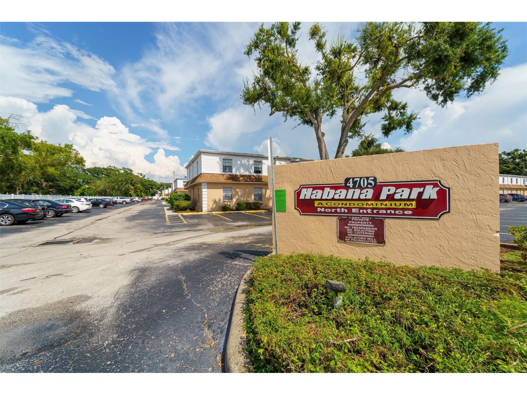 4708 Christa Court #301 Tampa FL 33614 TB8418029 image1