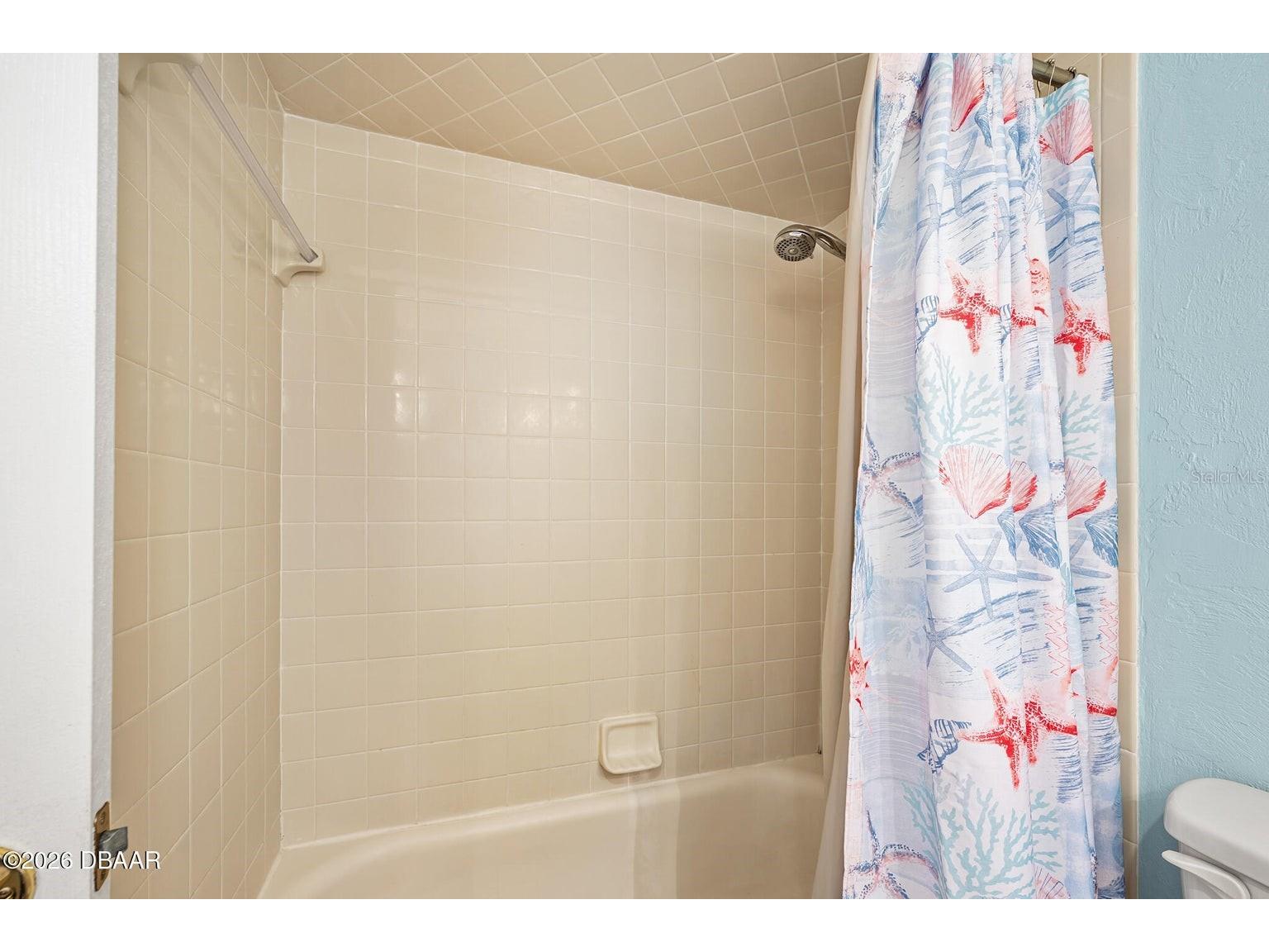 4708 Dixie Drive Ponce Inlet FL 32127 FC318157 image36