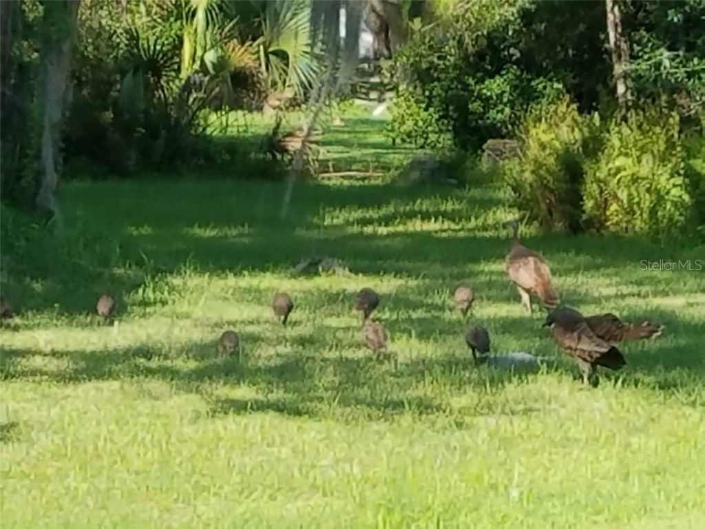 4708 Hidden River Road Sarasota FL 34240 A4671077 image63