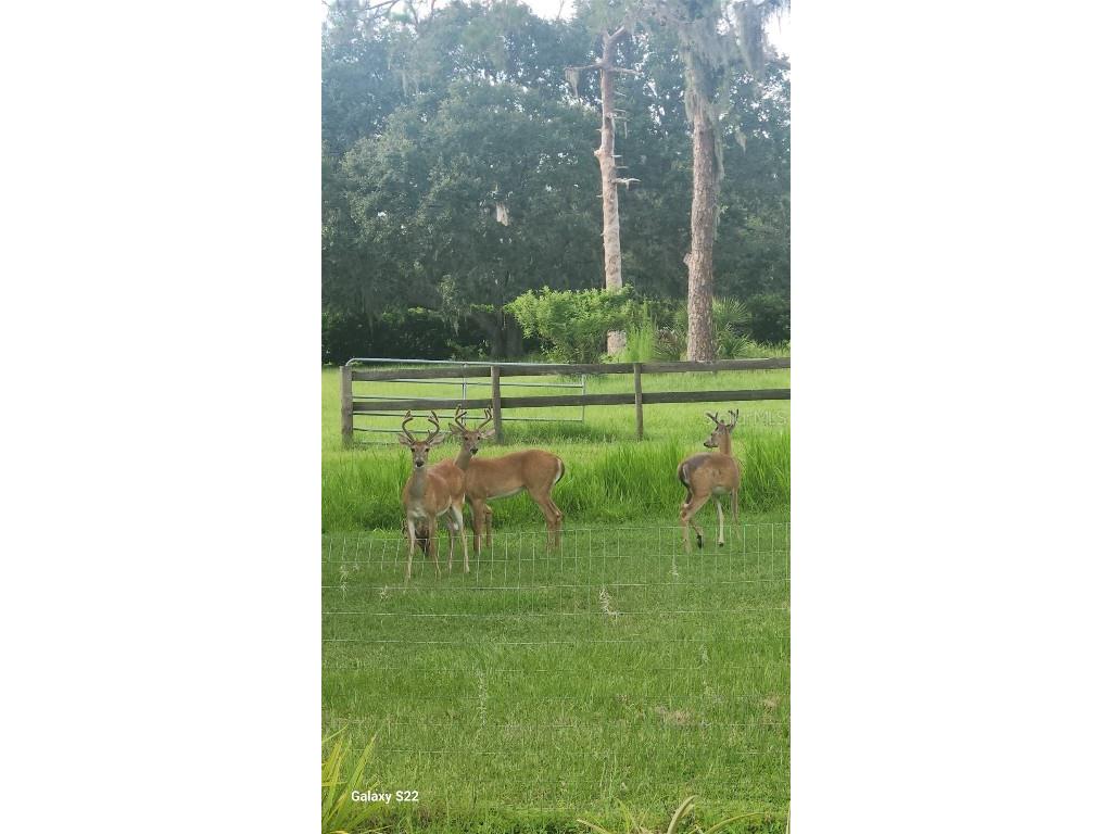 4708 Hidden River Road Sarasota FL 34240 A4671077 image66