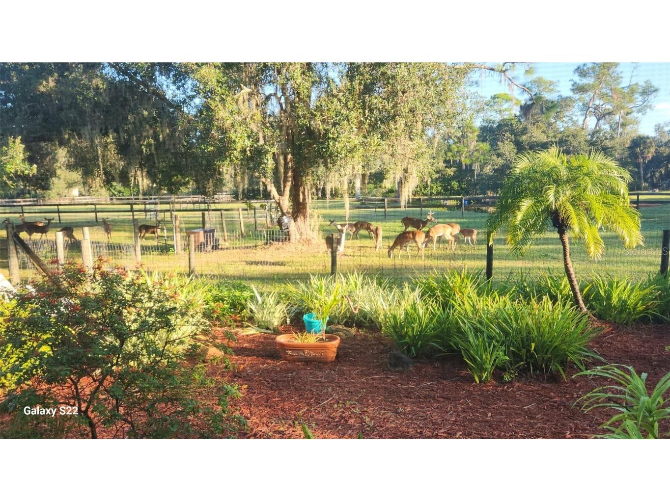 4708 Hidden River Road Sarasota FL 34240 A4671077 image67