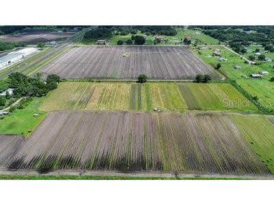 4708 James L Redman Parkway Plant City FL 33567 L4952355 image22