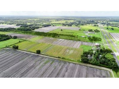 4708 James L Redman Parkway Plant City FL 33567 L4952355 image24