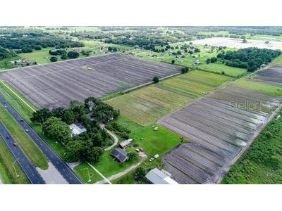 4708 James L Redman Parkway Plant City FL 33567 L4952355 image25