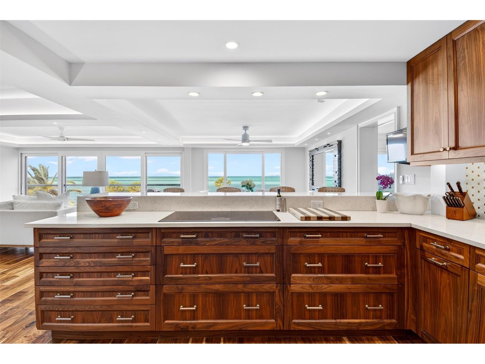 4708 Ocean Boulevard #E4 Sarasota FL 34242 - GULF OF MEXICO AND BIG PASS A4689440 image14
