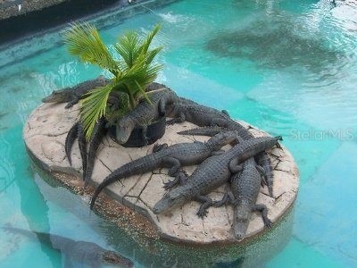 4708 W Irlo Bronson Memorial Highway Kissimmee FL 34746 O6261458 image3