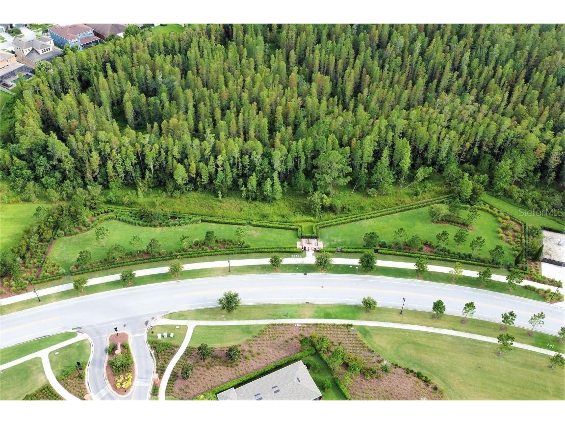 4709 Ancona Way Wesley Chapel FL 33543 TB8437741 image30