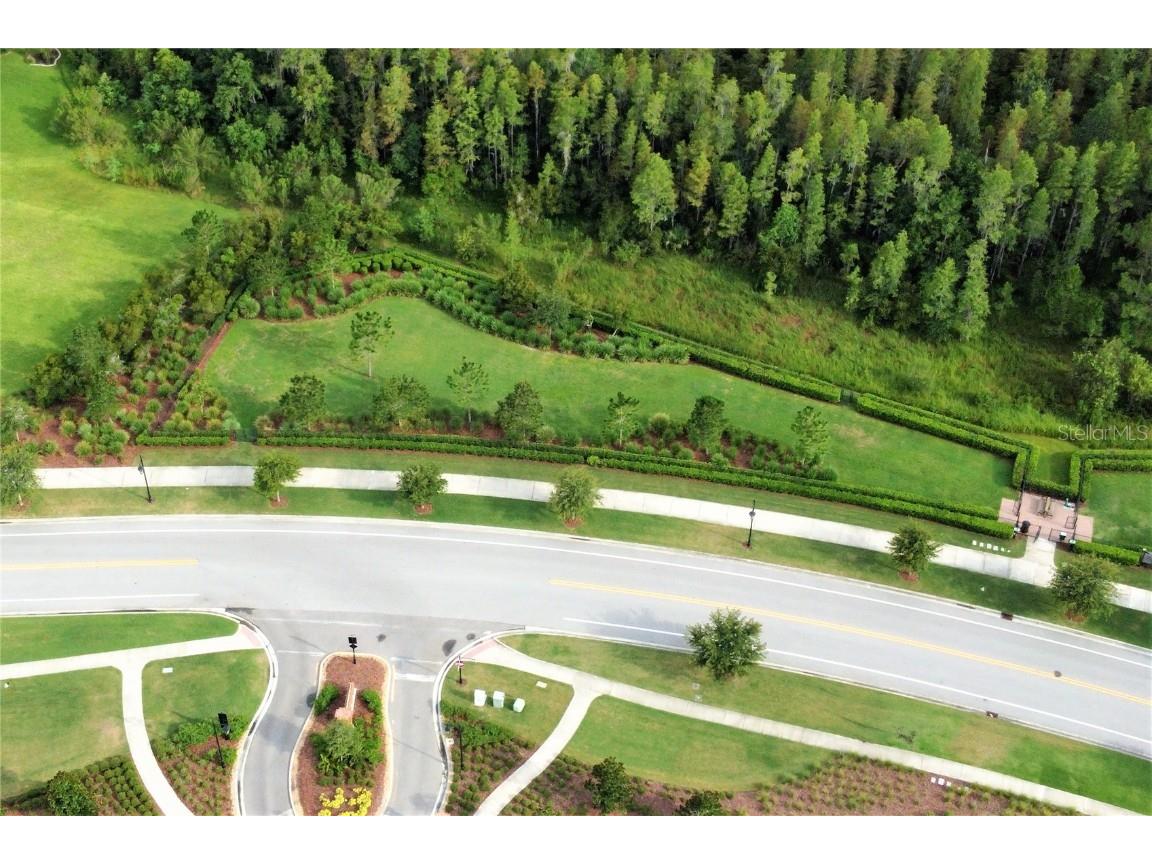 4709 Ancona Way Wesley Chapel FL 33543 TB8437741 image31