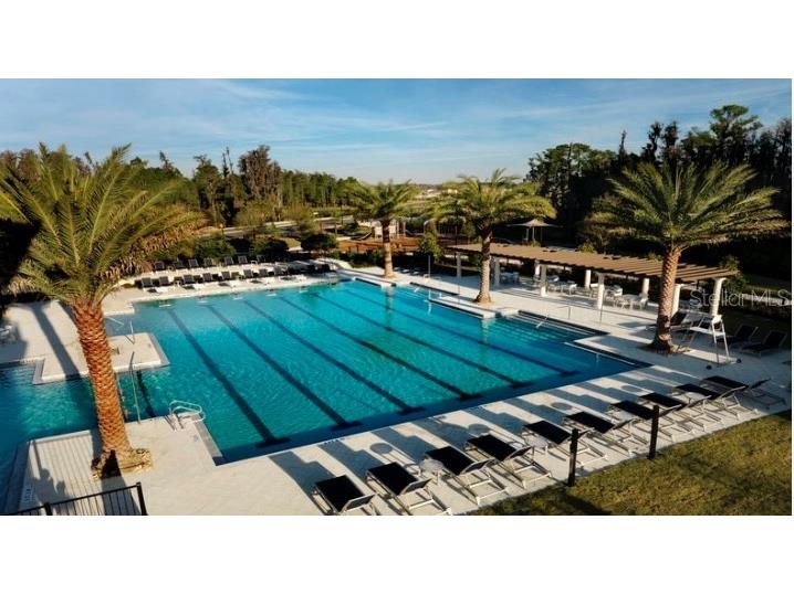 4709 Ancona Way Wesley Chapel FL 33543 TB8437741 image36