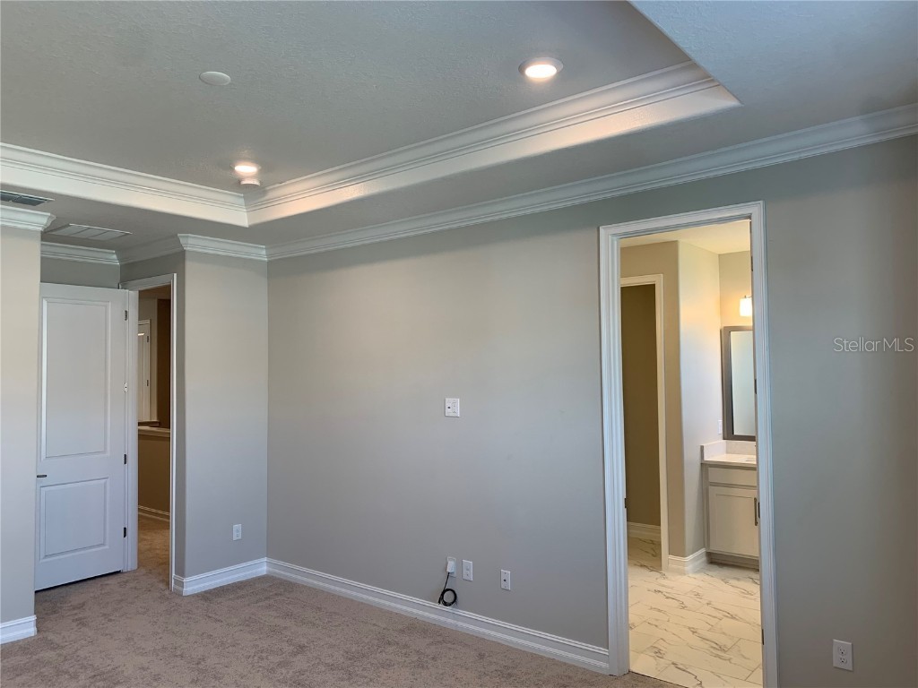 4709 Ancona Way Wesley Chapel FL 33543 TB8437741 image9