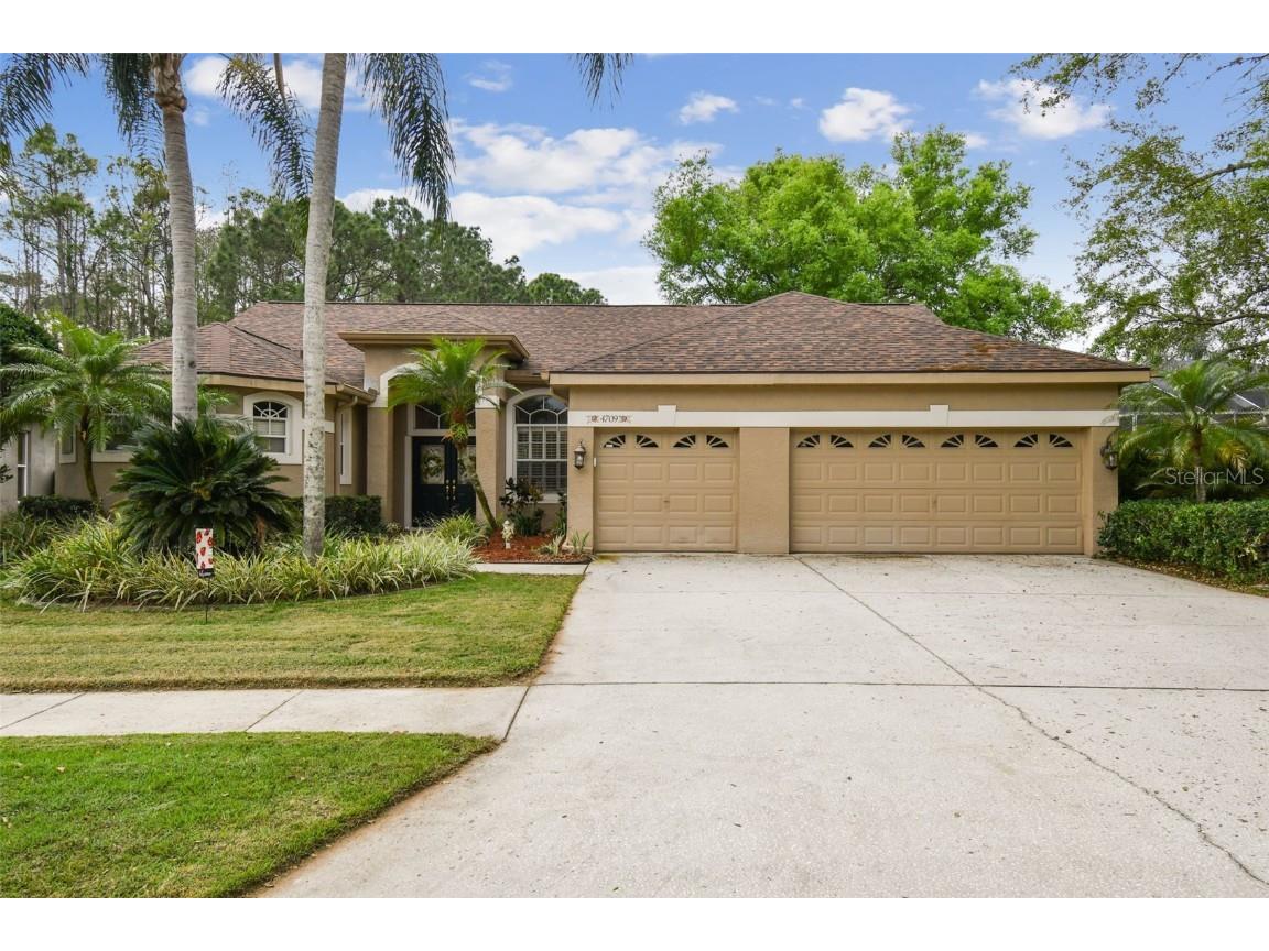 4709 Highgate Boulevard Palm Harbor FL 34685 U8193812 image1