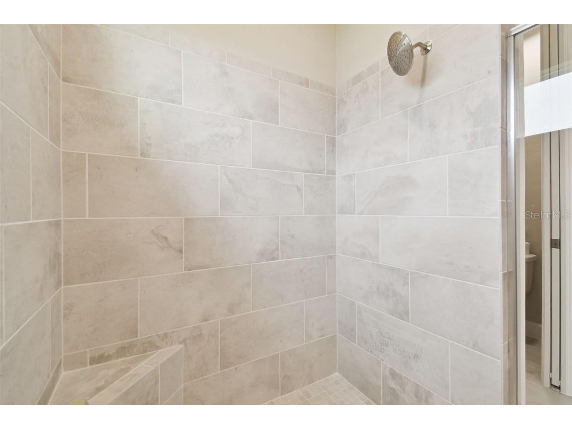 4709 Isonzo Way Wesley Chapel FL 33543 TB8387668 image24