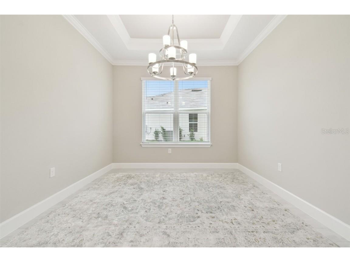 4709 Isonzo Way Wesley Chapel FL 33543 TB8387668 image28