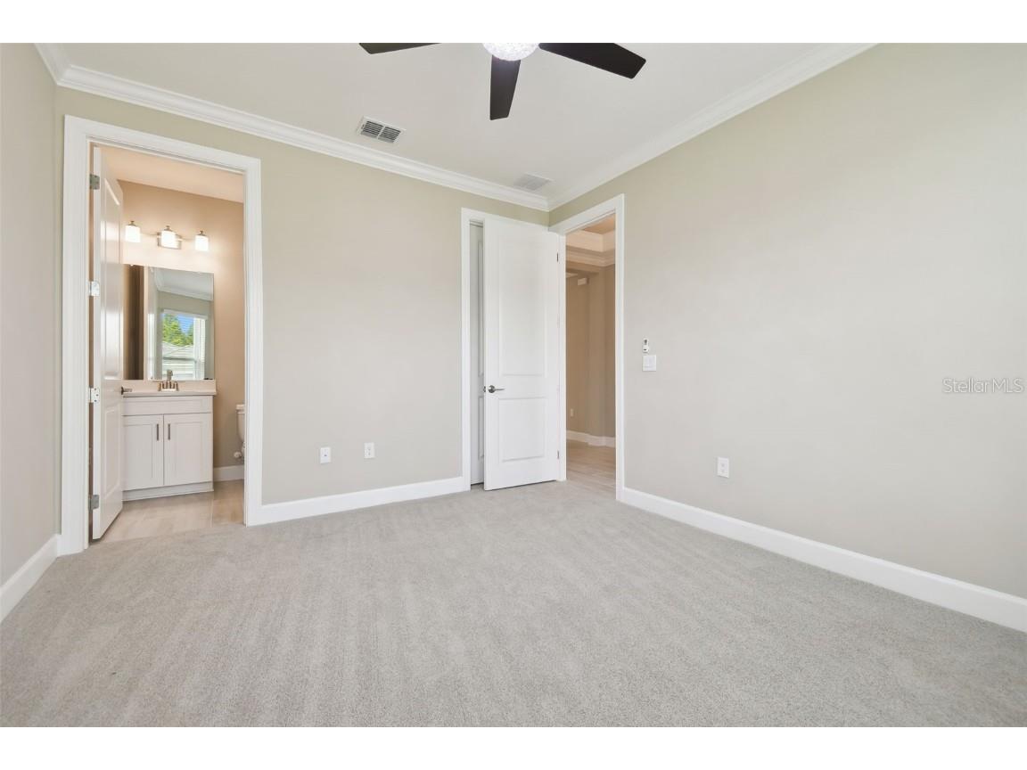 4709 Isonzo Way Wesley Chapel FL 33543 TB8387668 image33